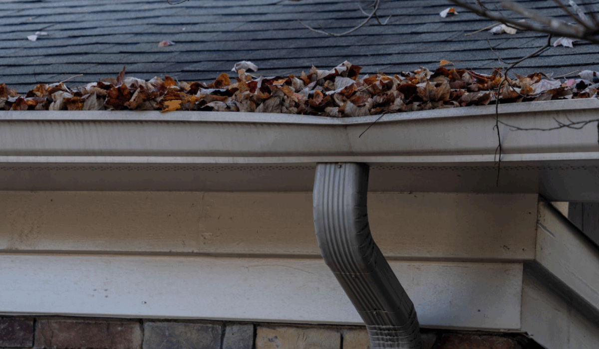 clogged gutters